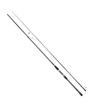 CANA DAIWA LEGALIS SEABASS SPINNING MAR