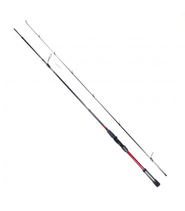 CANA DAIWA TOURNAMENT SW AGS SPINNING
