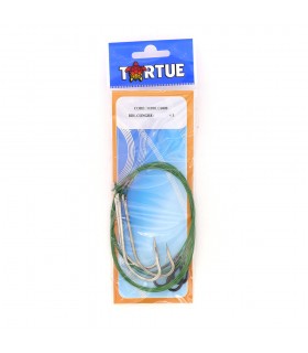 ANZOIS BDL CONGRE DE TORTUE 