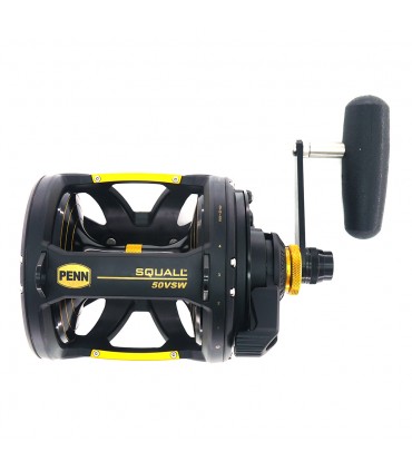 CARRETO PENN SQUALL 50VSW DE DUAS VELOCIDADES
