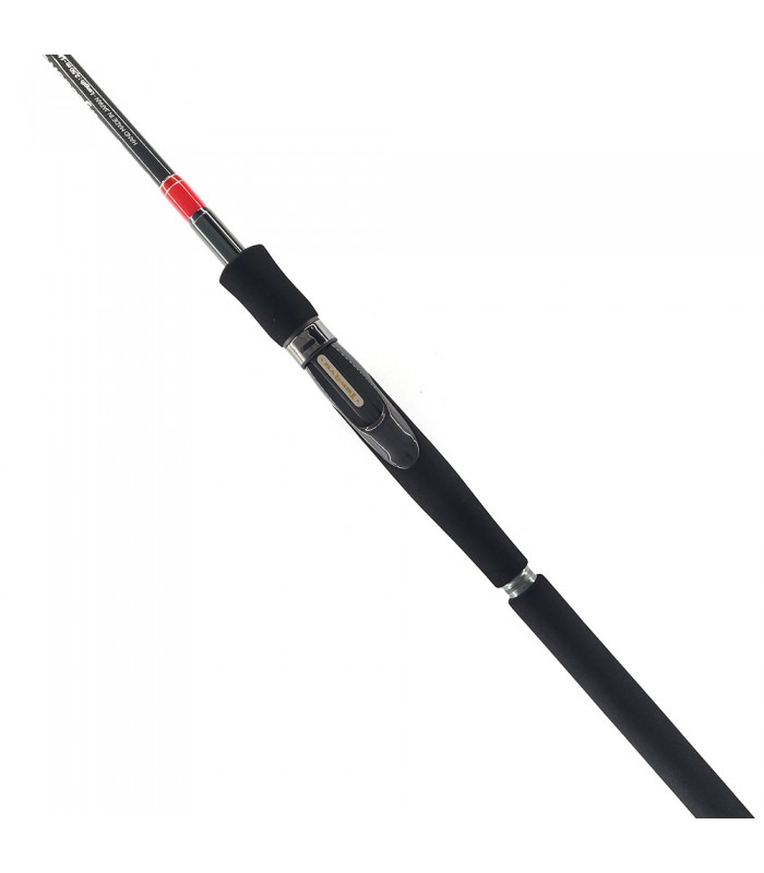 CANA TENRYU INJECTION SP SPINNING