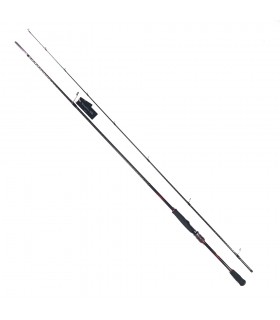 CANA SHIMANO SEPHIA BB
