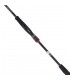 CANA SHIMANO SEPHIA BB