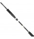 CANA SHIMANO SALTY ADVANCE EGING