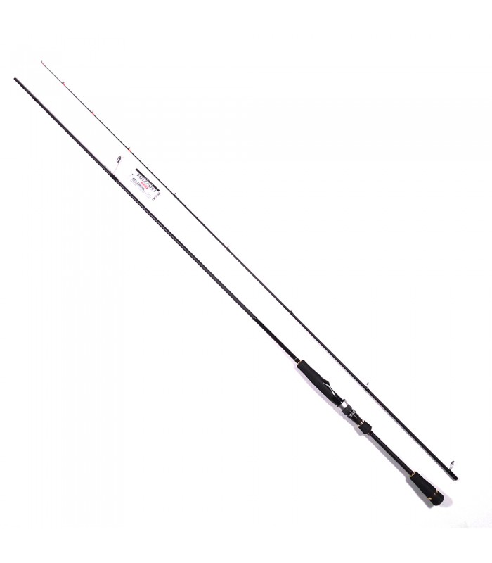 CANA MAJOR CRAFT EGIZAUST 1G SOLID TIP EGING