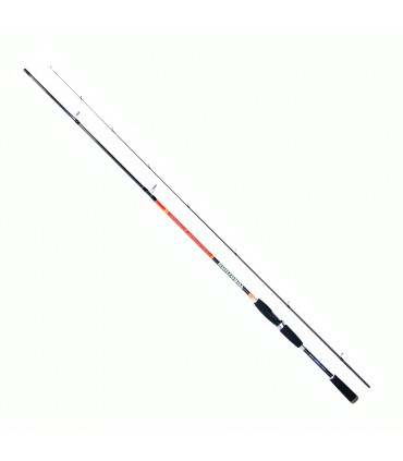CANA YOKOZUNA KALAMARI STRONG PARA EGING