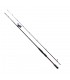 CANA DAIWA INFEET SEABASS 2023 SPINNING