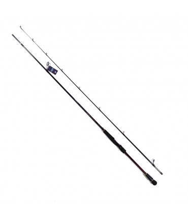 CANA DAIWA INFEET SEABASS 2023 SPINNING