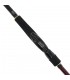 CANA DAIWA INFEET SEABASS 2023 SPINNING