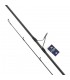 CANA DAIWA INFEET SEABASS 2023 SPINNING