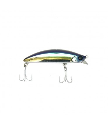 MINNOW APIA DOVER 70 F