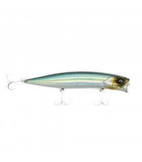 PASEANTE BASSDAY HADES 127 F