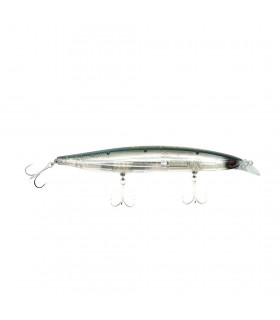 MINNOW DAIWA SHORELINE SHINER Z VERTICE R 125 S