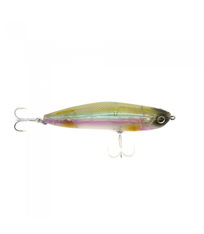 PASSEANTE XORUS Z CLAW EVO 100