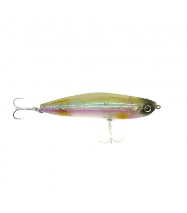 PASSEANTE XORUS Z CLAW EVO 100