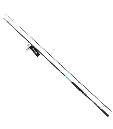 CANA JACKSON SURF TRIVE  SPINNING MODEL