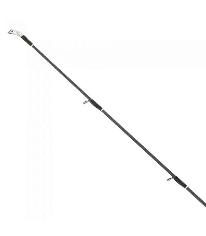 CAÑA GRAPHITELEADER PROTONE PROTOTYPE