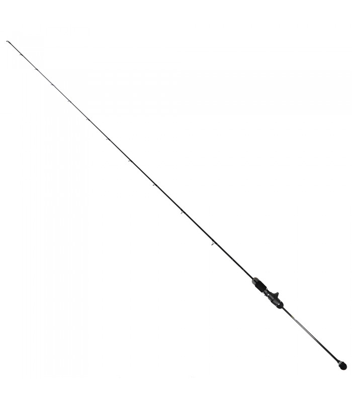 CAÑA GRAPHITELEADER PROTONE PROTOTYPE