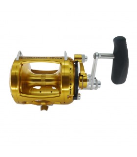CARRETO PENN INTERNATIONAL VISW GOLD