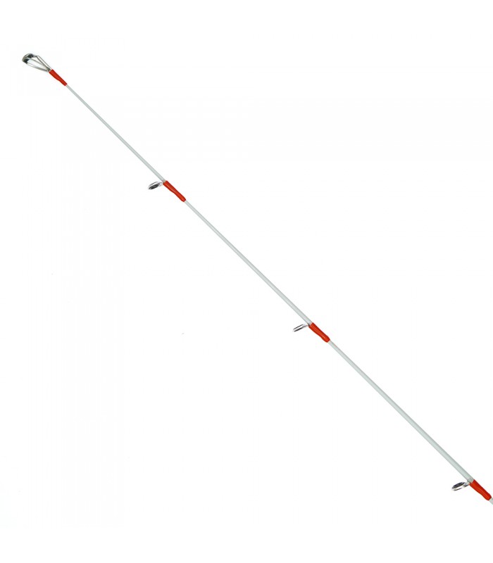 CANA DAIWA EMERALDAS BOAT 2025