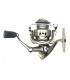 CARRETO SPINIT BOW