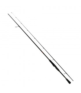 CANA GRAPHITELEADER TIRO PROTOTYPE 2025