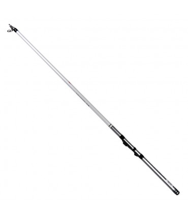 CANA DAIWA ALBORELLA ESPECIAL CHIPI