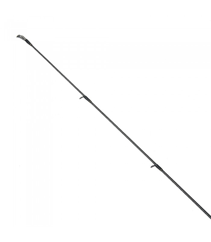 CAÑA GRAPHITELEADER SUPER CALAMARETTI 2025