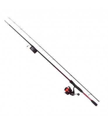 COMBO SHIMANO SIENNA SENSITIVE CHIPI