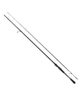 CAÑA GRAPHITELEADER NUOVO CALAMARETTI 2026