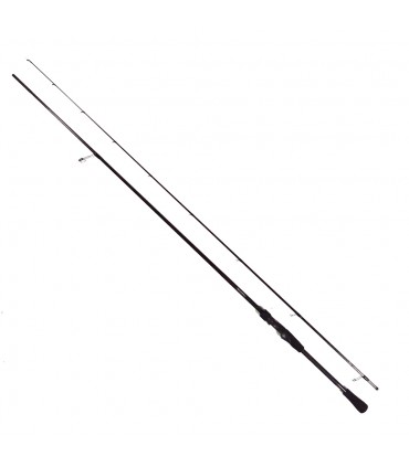 CAÑA GRAPHITELEADER CALAMARETTI UX 2026