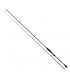 CANA FISHUS AKITA EGI 83