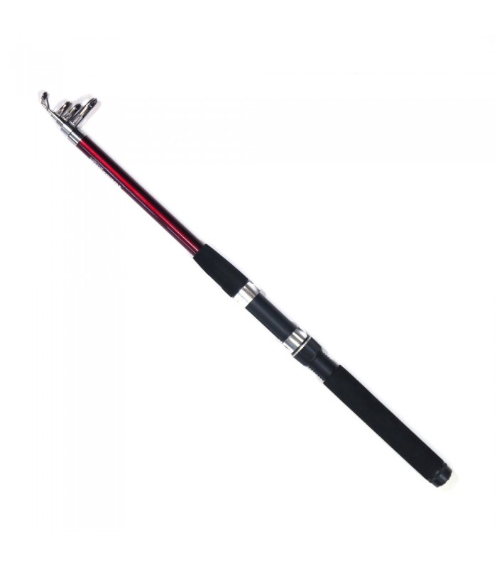 CANA YOKOZUNA DYS16